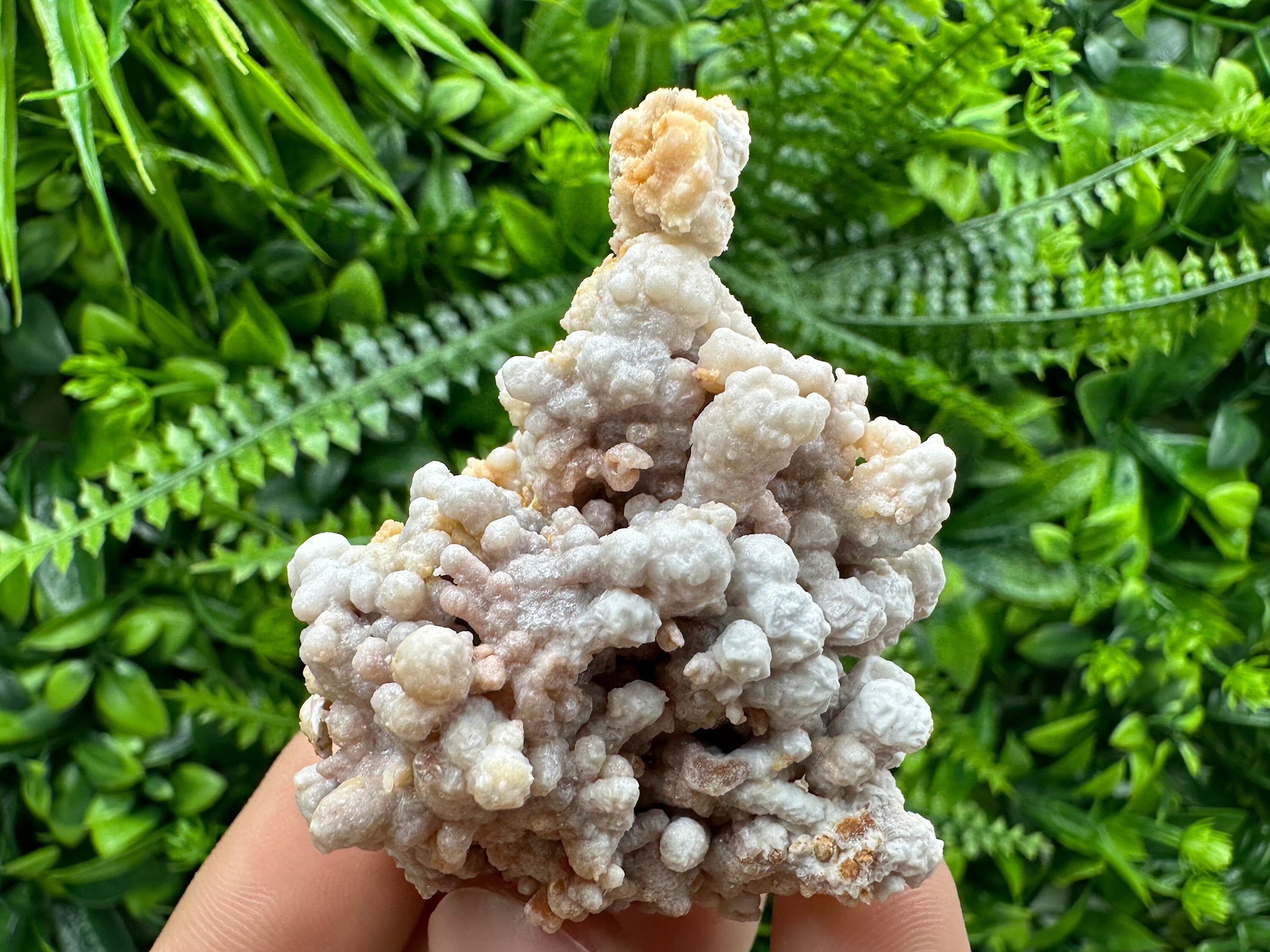 Dimitrovgrad Aragonite Cluster, Bulgaria Mineral Specimen (5/5/5cm)
