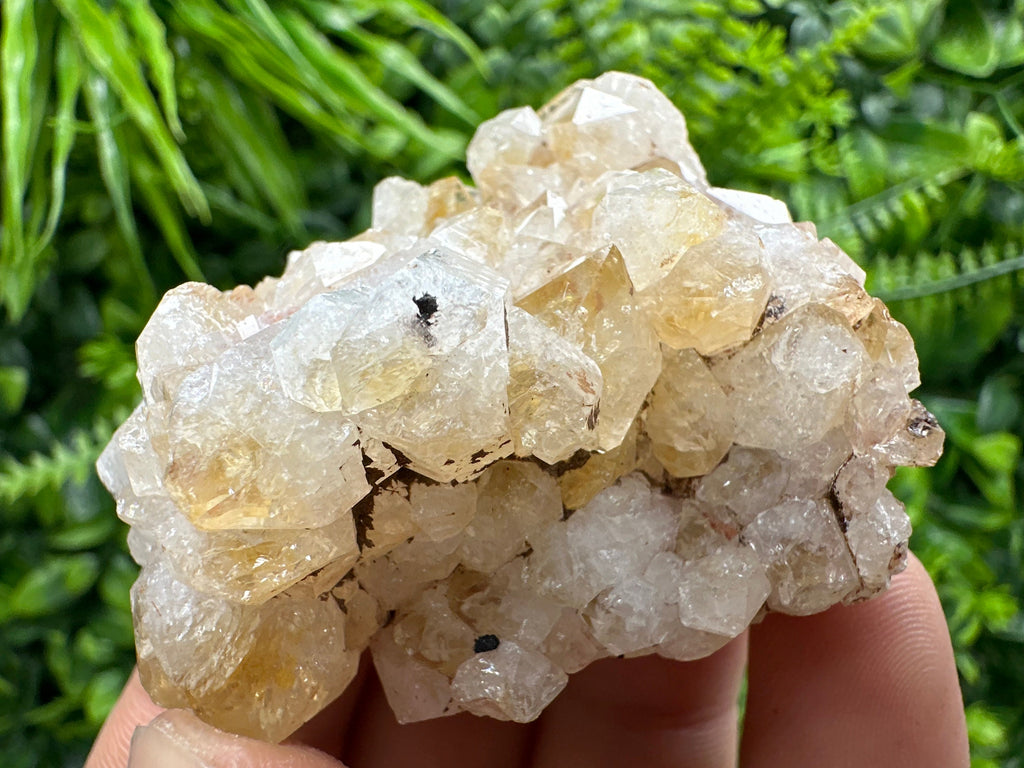 Citrine Crystal Cluster with Hematite Inclusions - Brazil