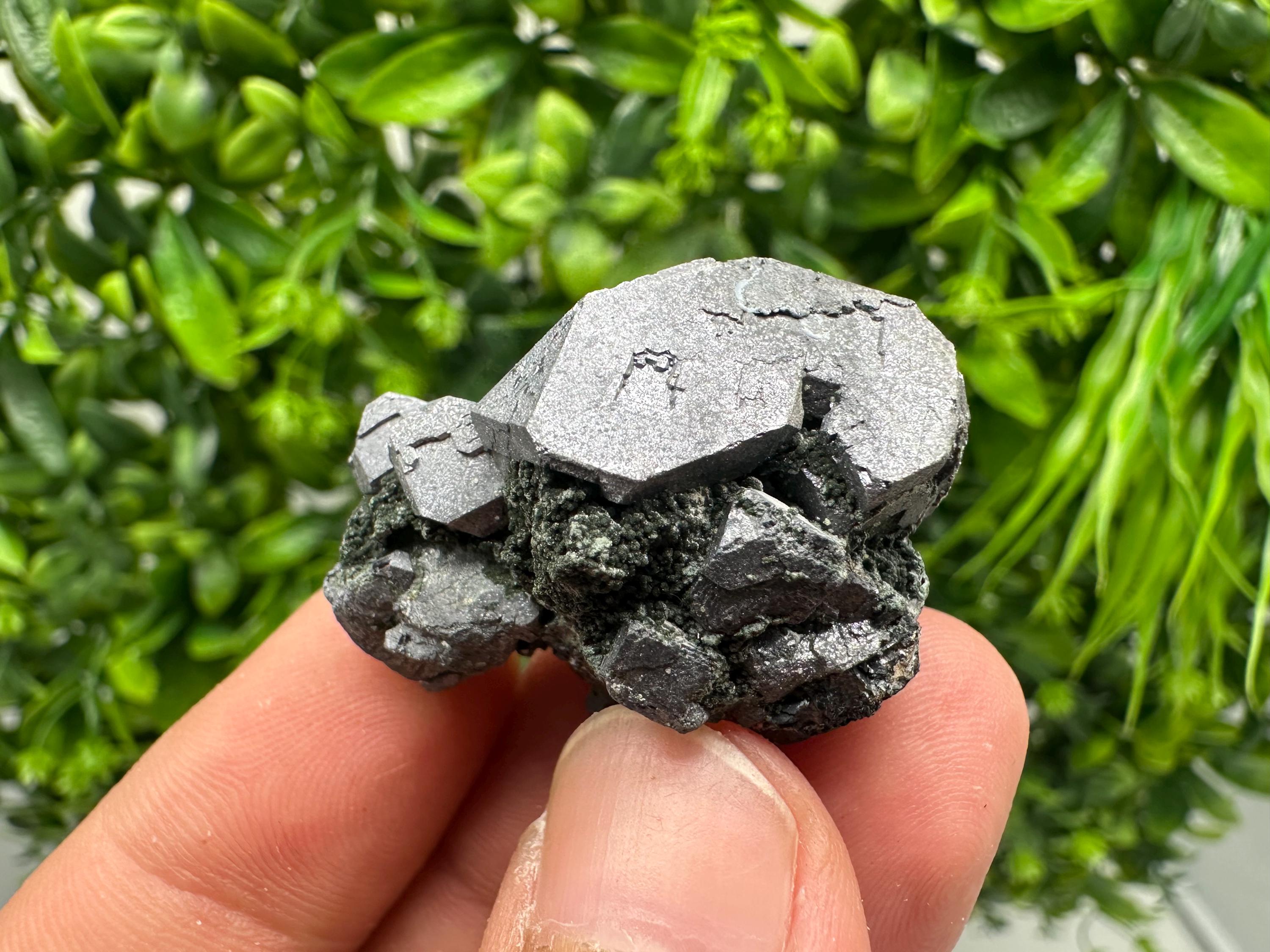 Shiny Galena Cluster - Borieva Mine, Bulgaria