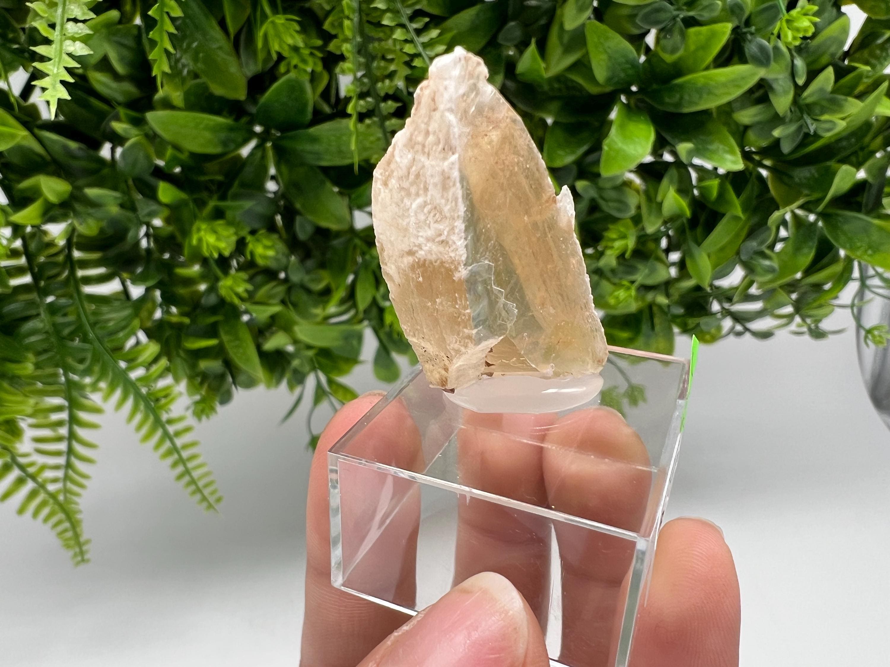Golden Phantom Selenite Slab, Raw Utah Crystal (3/4cm)