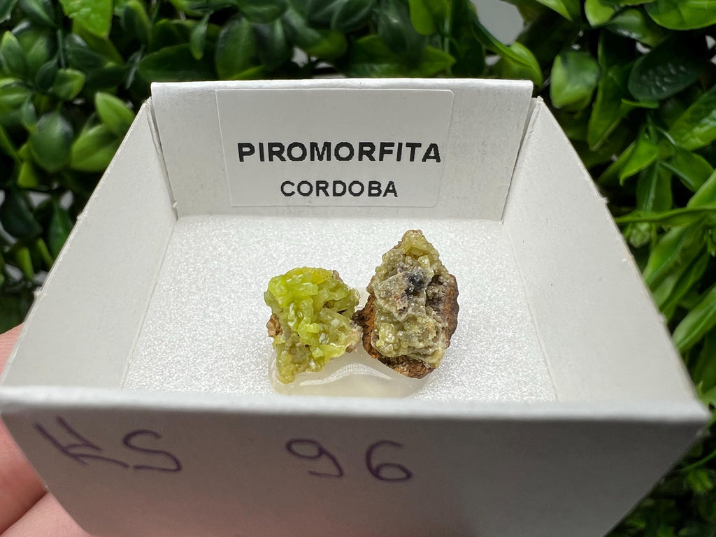 Pyromorphite Stone / Pyromorphite on Matrix / Pyromorphite Crystal / Raw Crystal / Pyromorphite Cluster / Rough Pyromorphite / Pyromorphite
