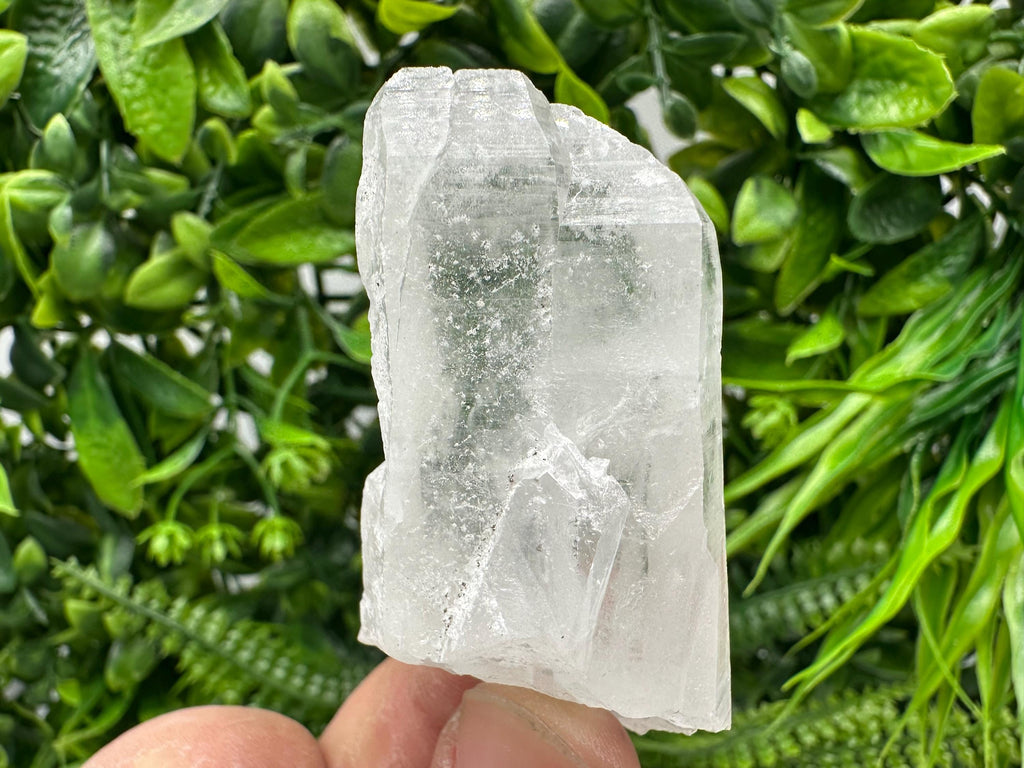Transparent Quartz Crystal: Djurcovo Mine, Bulgaria