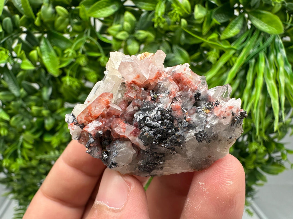 Quartz with Hematite & Iron Oxide: Collectible Mineral Specimen, 9th September Mine