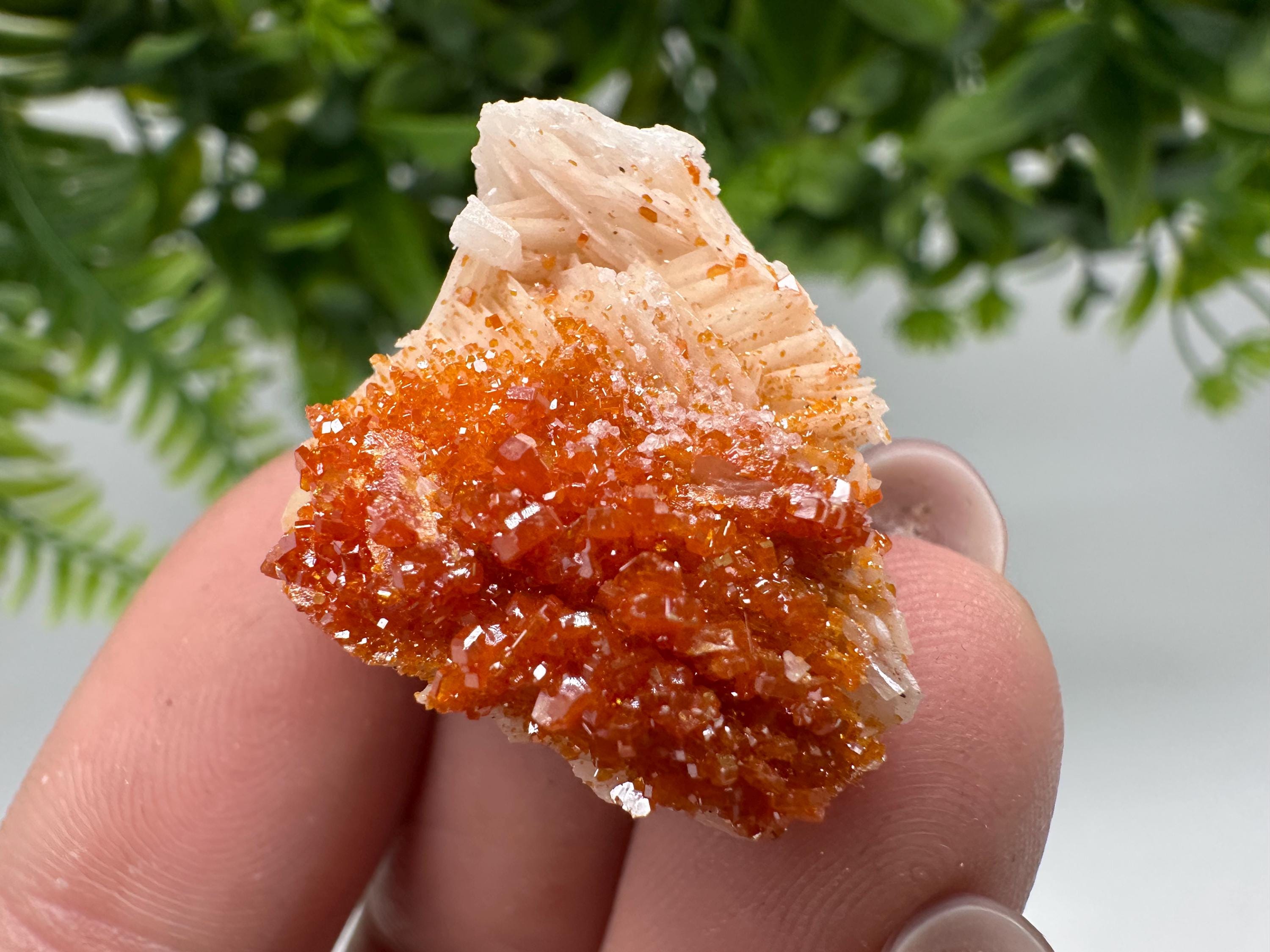 Red Vanadinite on Barite, Moroccan Crystal Specimen