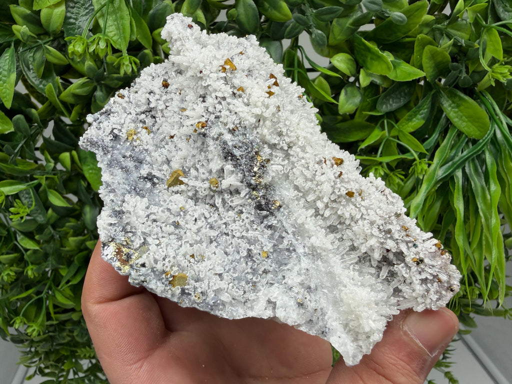 Pyrite Sphalerite Quartz  Mineral Specimen, Krushev dol Mine