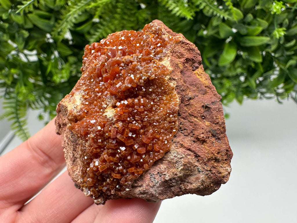Red Vanadinite on Matrix from Marocco,crystal minerals Speciment cluster Vanadinite crystal Vanadinite Geology Vanadinite cluster minerals
