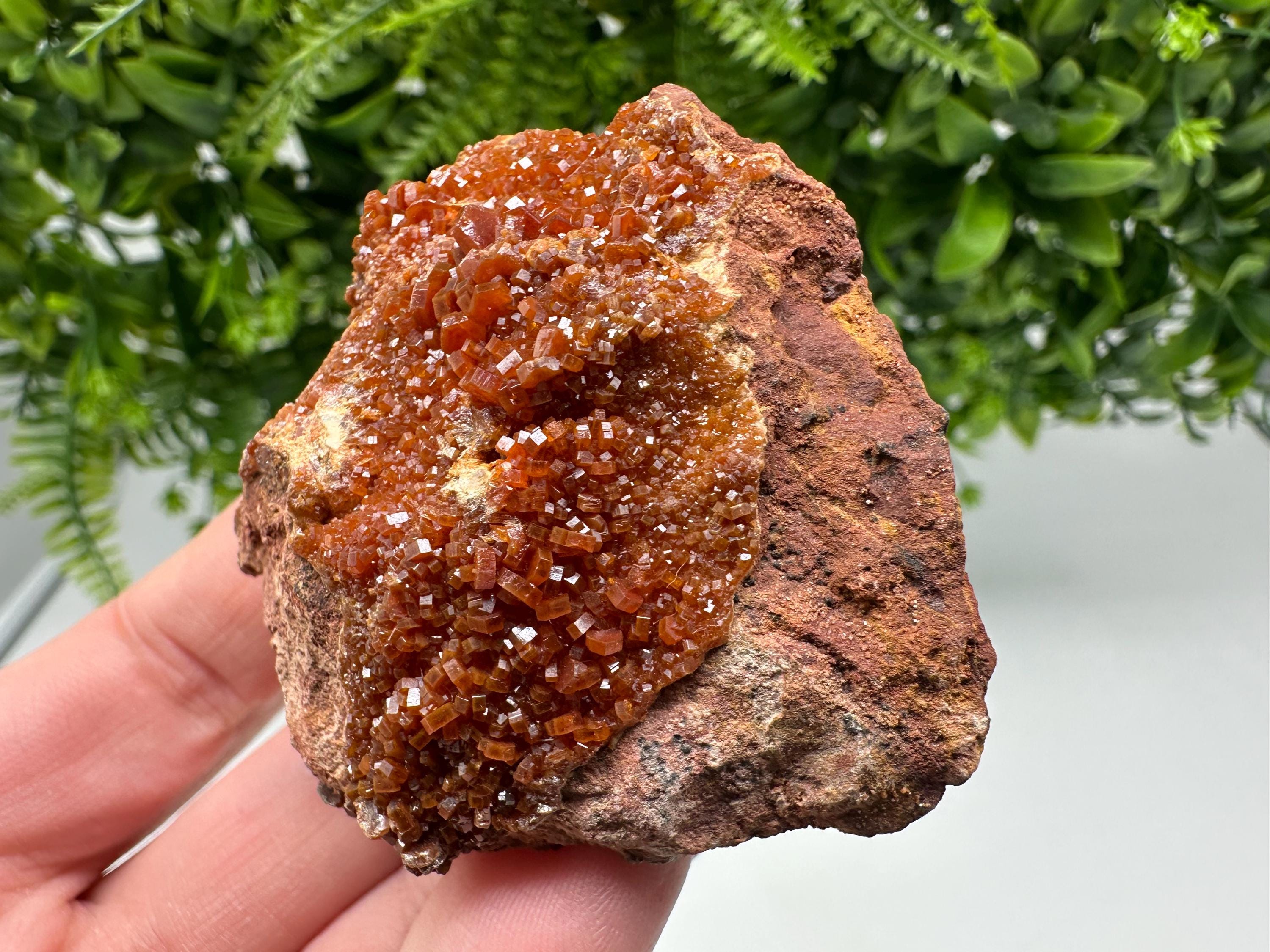 Red Vanadinite on Matrix from Marocco,crystal minerals Speciment cluster Vanadinite crystal Vanadinite Geology Vanadinite cluster minerals
