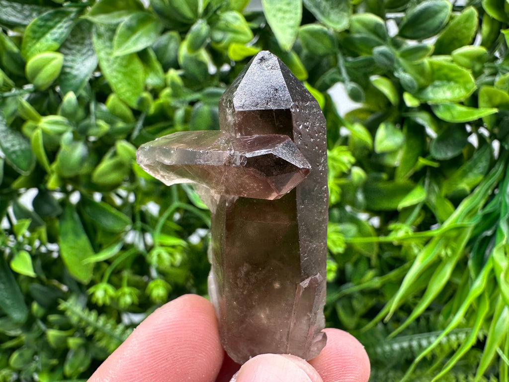 Rare Smoky Quartz Crystal Specimen, Brazil