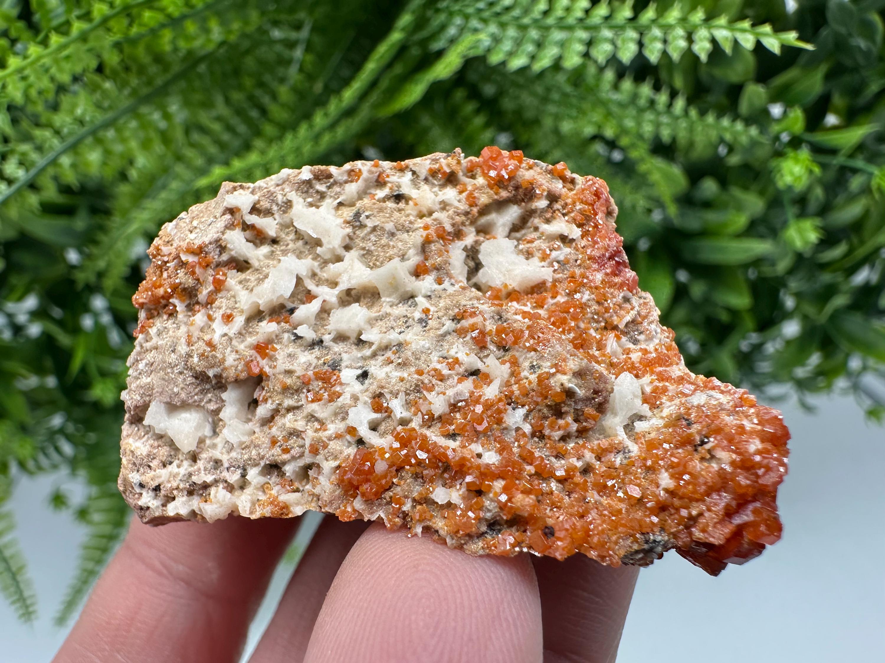 Red Vanadinite on Matrix from Marocco,crystal minerals Speciment cluster Vanadinite crystal Vanadinite Geology Vanadinite cluster minerals