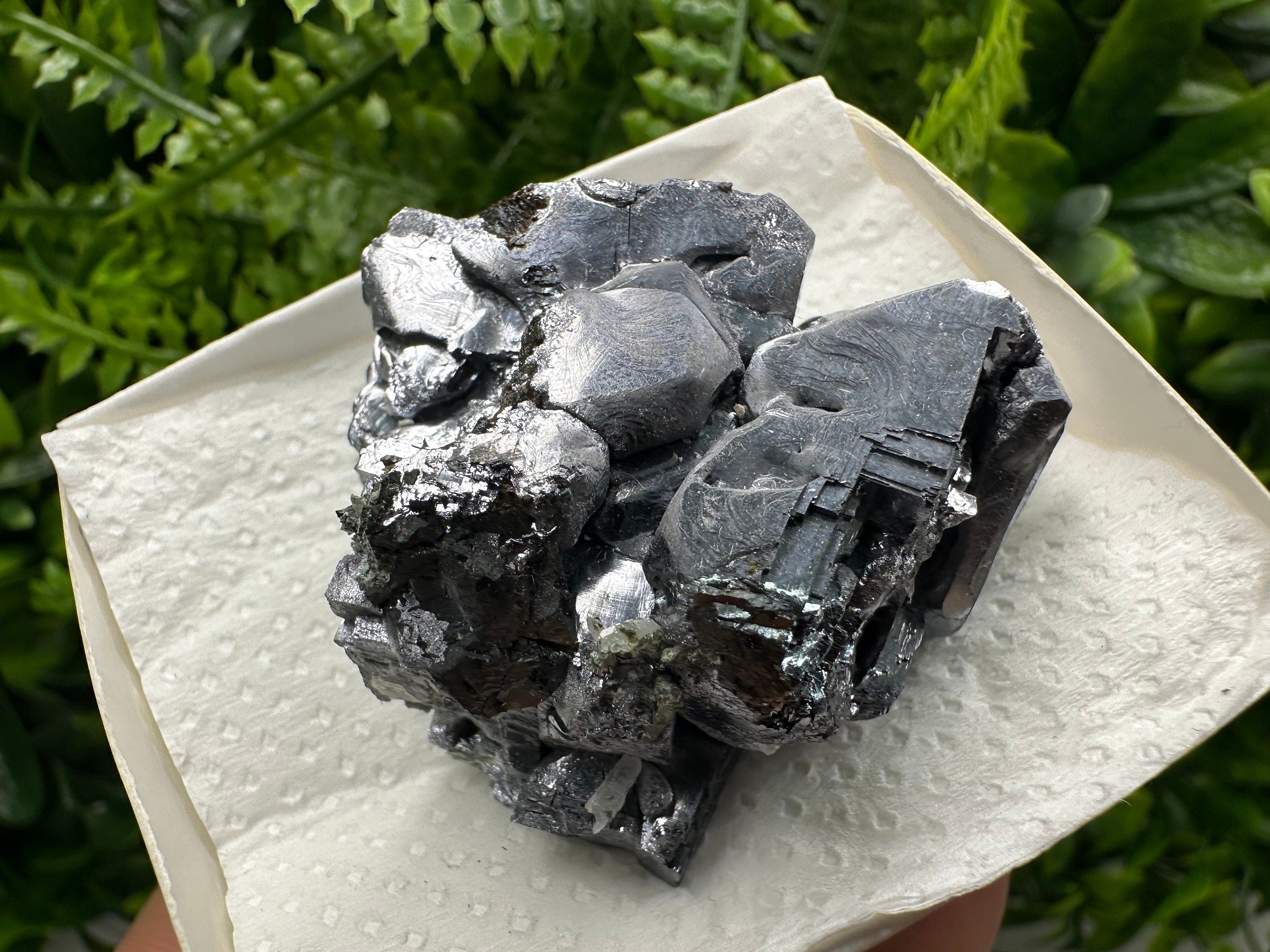 Shiny Galena Cluster: Borieva Mine, Madan Bulgaria