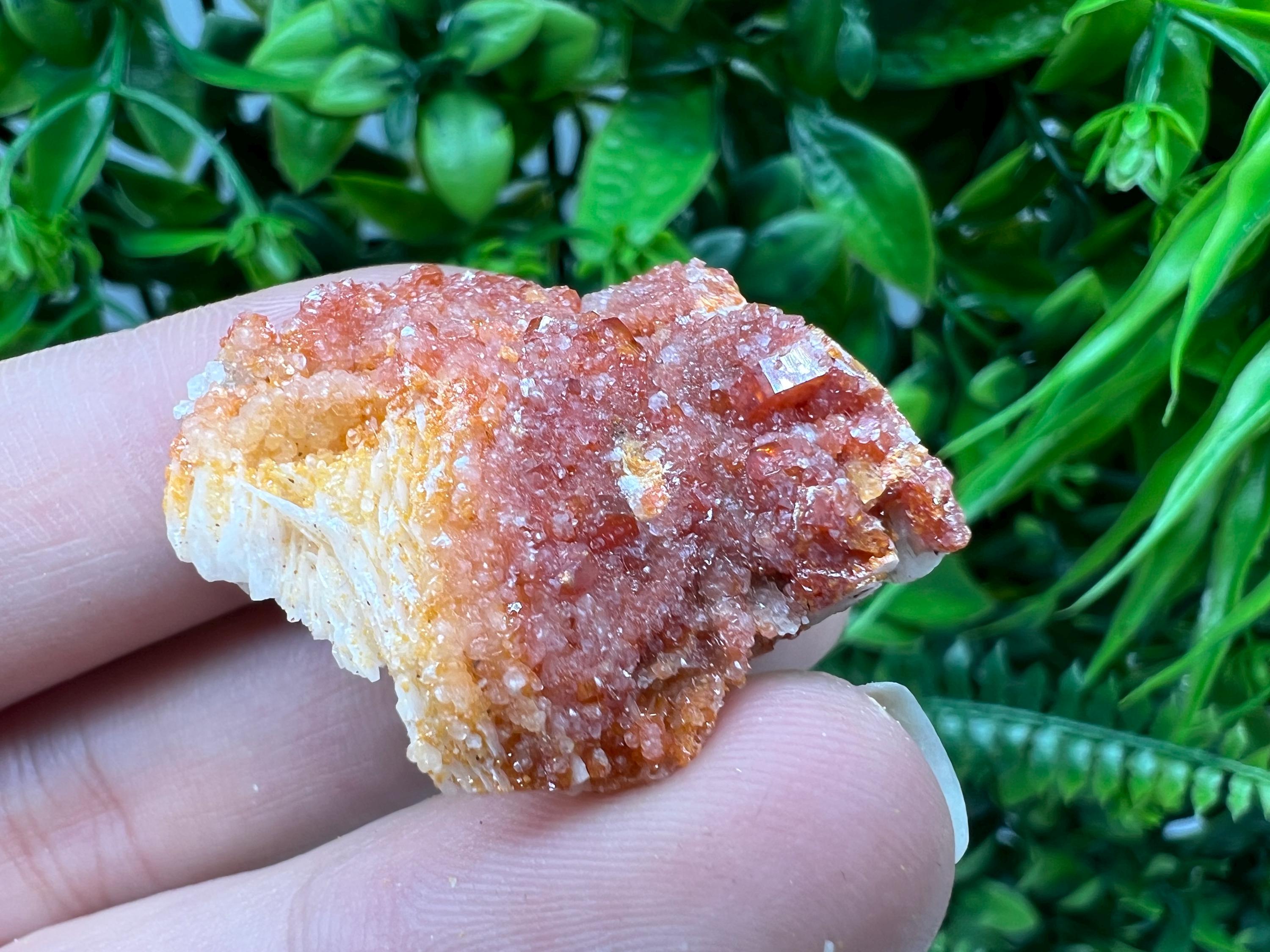 Red Vanadinite on Barite from Marocco,crystal minerals Speciment cluster Vanadinite crystal Vanadinite Geology Vanadinite cluster minerals