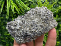 Galena Sphalerite Pyrite on Quartz, Borieva Mine, Bulgaria