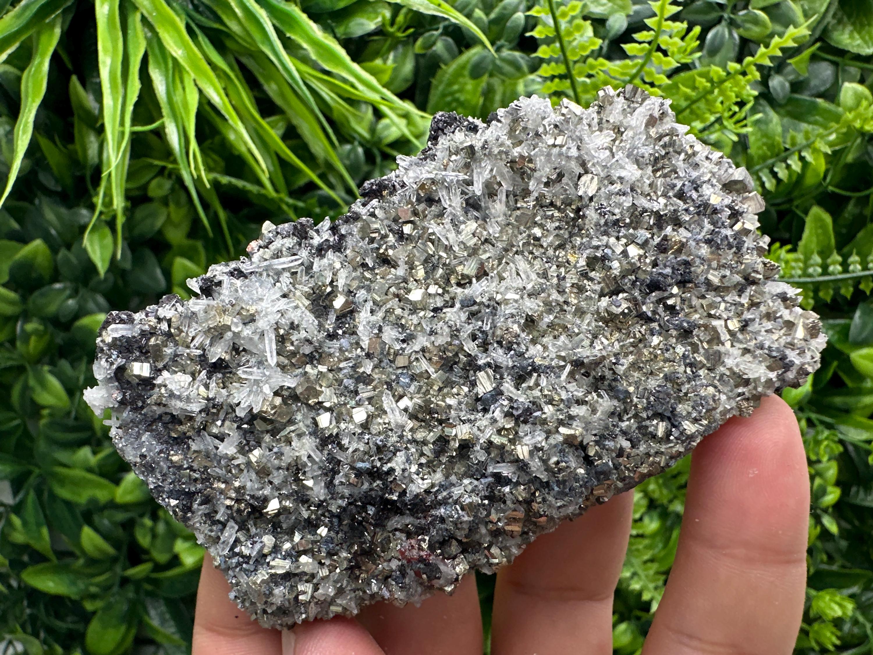 Galena Sphalerite Pyrite on Quartz, Borieva Mine, Bulgaria