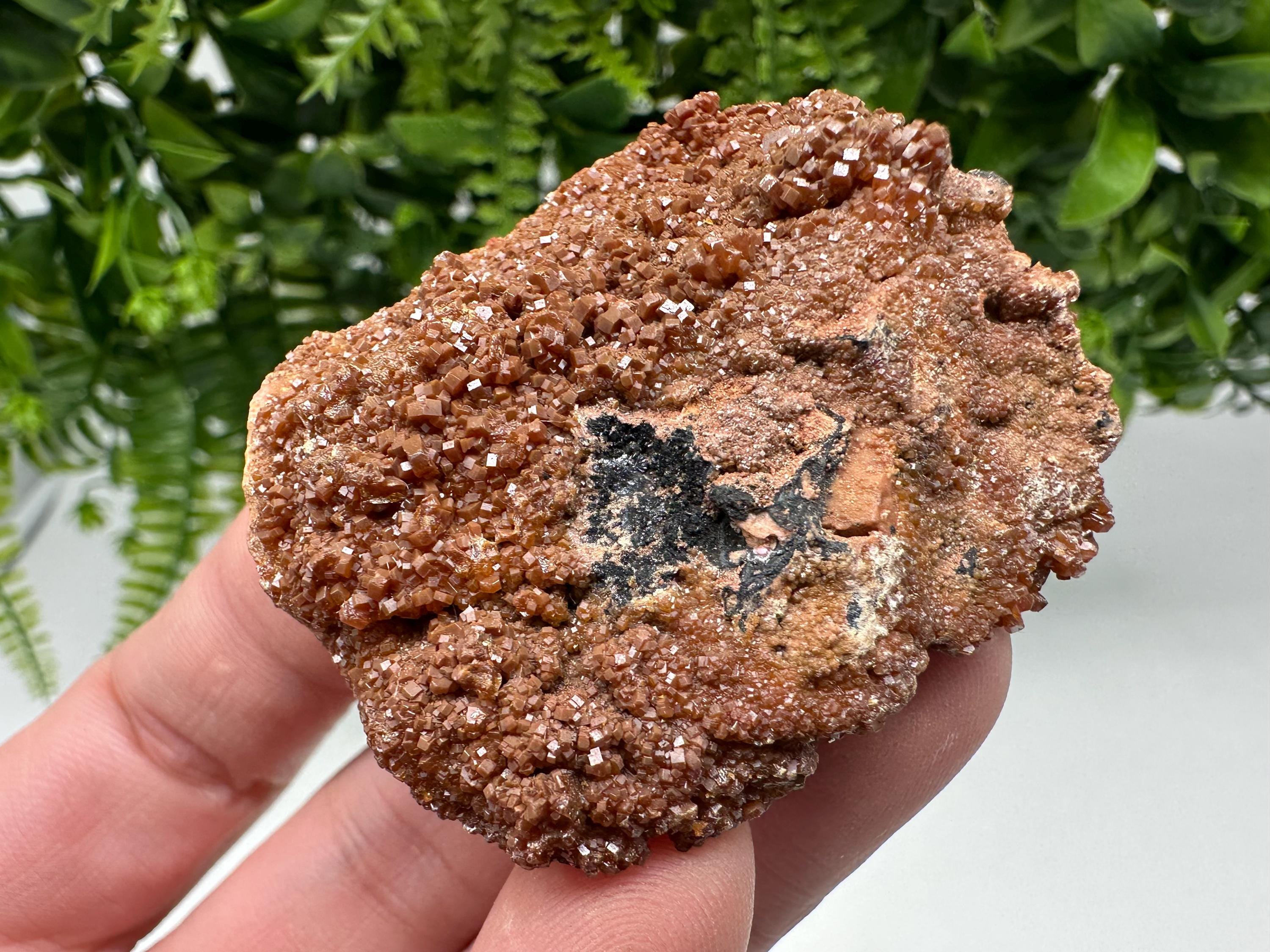 Red Vanadinite on Matrix from Marocco,crystal minerals Speciment cluster Vanadinite crystal Vanadinite Geology Vanadinite cluster minerals