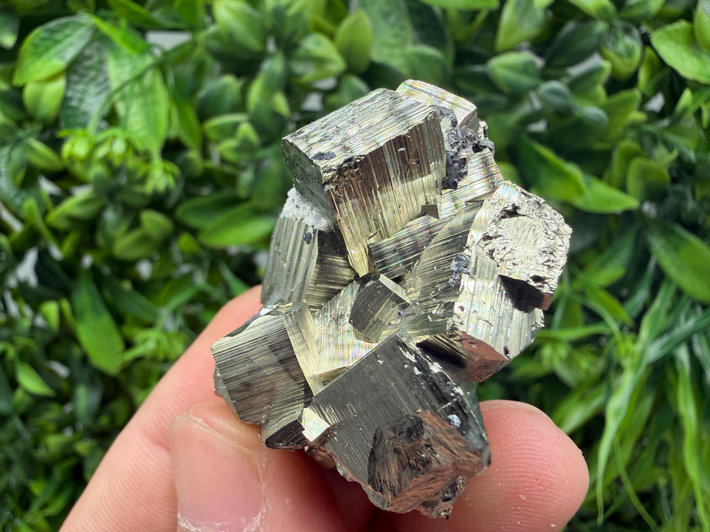 Rare Floating Pyrite Cluster, Fool’s Gold Crystal Decor