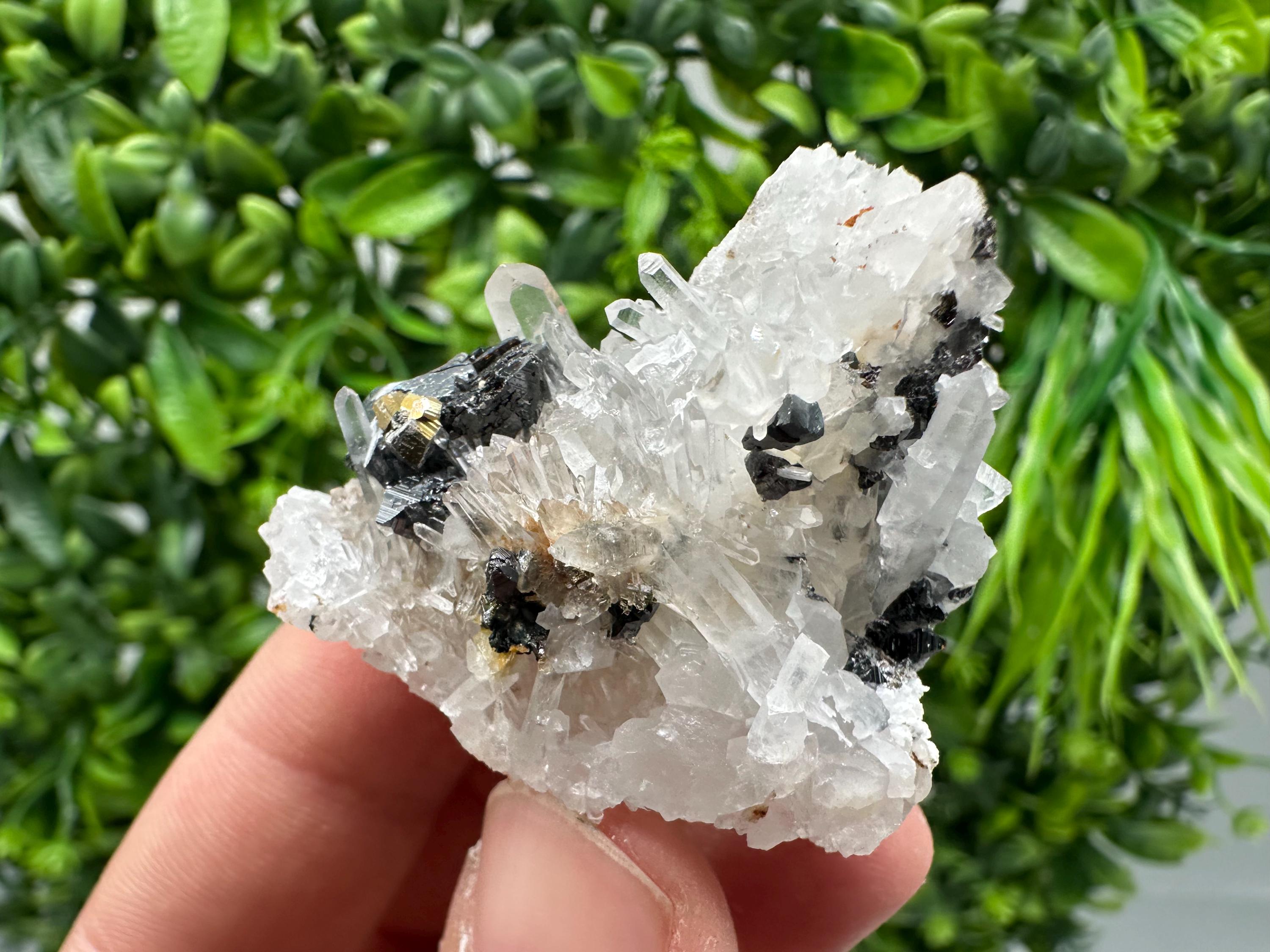 Wonderful Sphalerite Chalcopyrite on  Quartz whit Hematite feom 9 th September mine,Bulgaria,natural,collection mineral specimen,gift