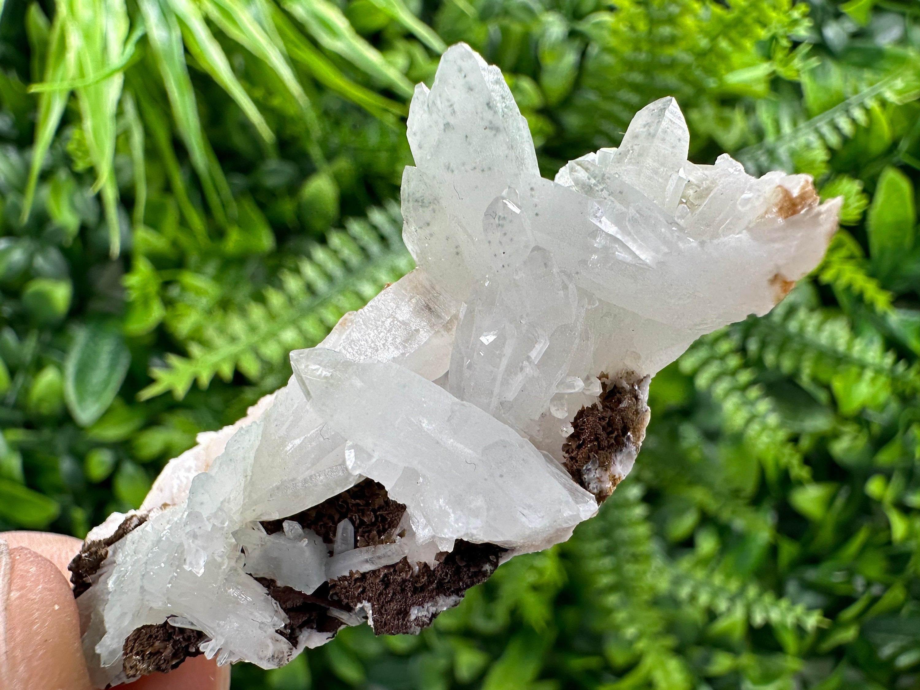 Quartz with Chlorite, Rhodochrosite, and Siderite Mineral Specimen