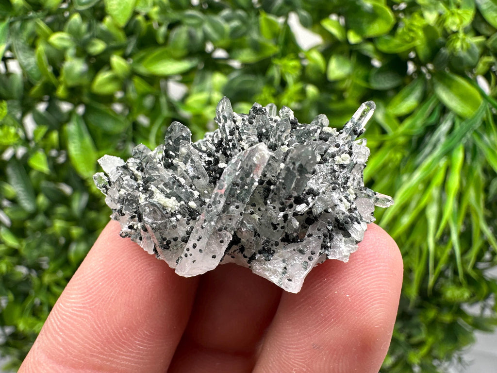 Chlorite Quartz Mineral Specimen, Borieva Mine, Bulgaria