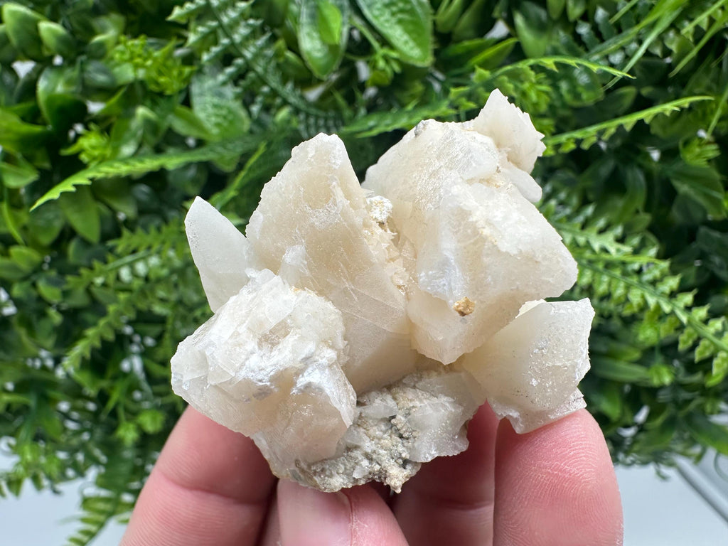 Calcite on Aragonite: Djurcovo Mine, Bulgaria Crystal