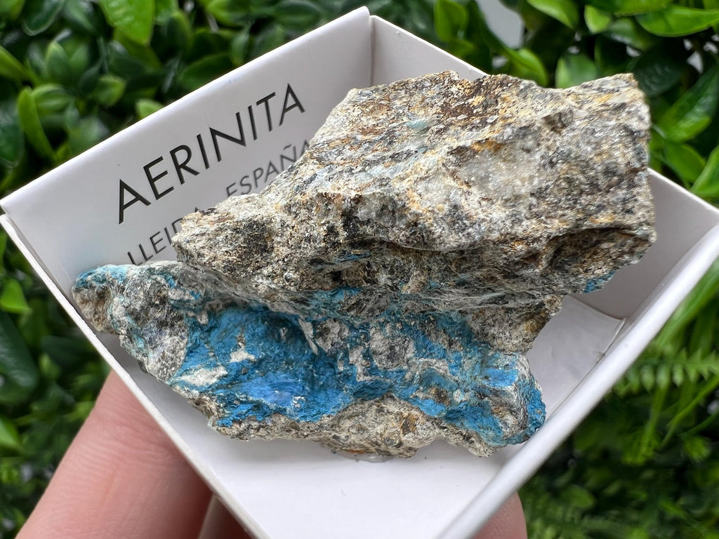 Rare Raw Aerinite Mineral Specimen: Collection Crystal from Lleida, Spain (5/3 cm