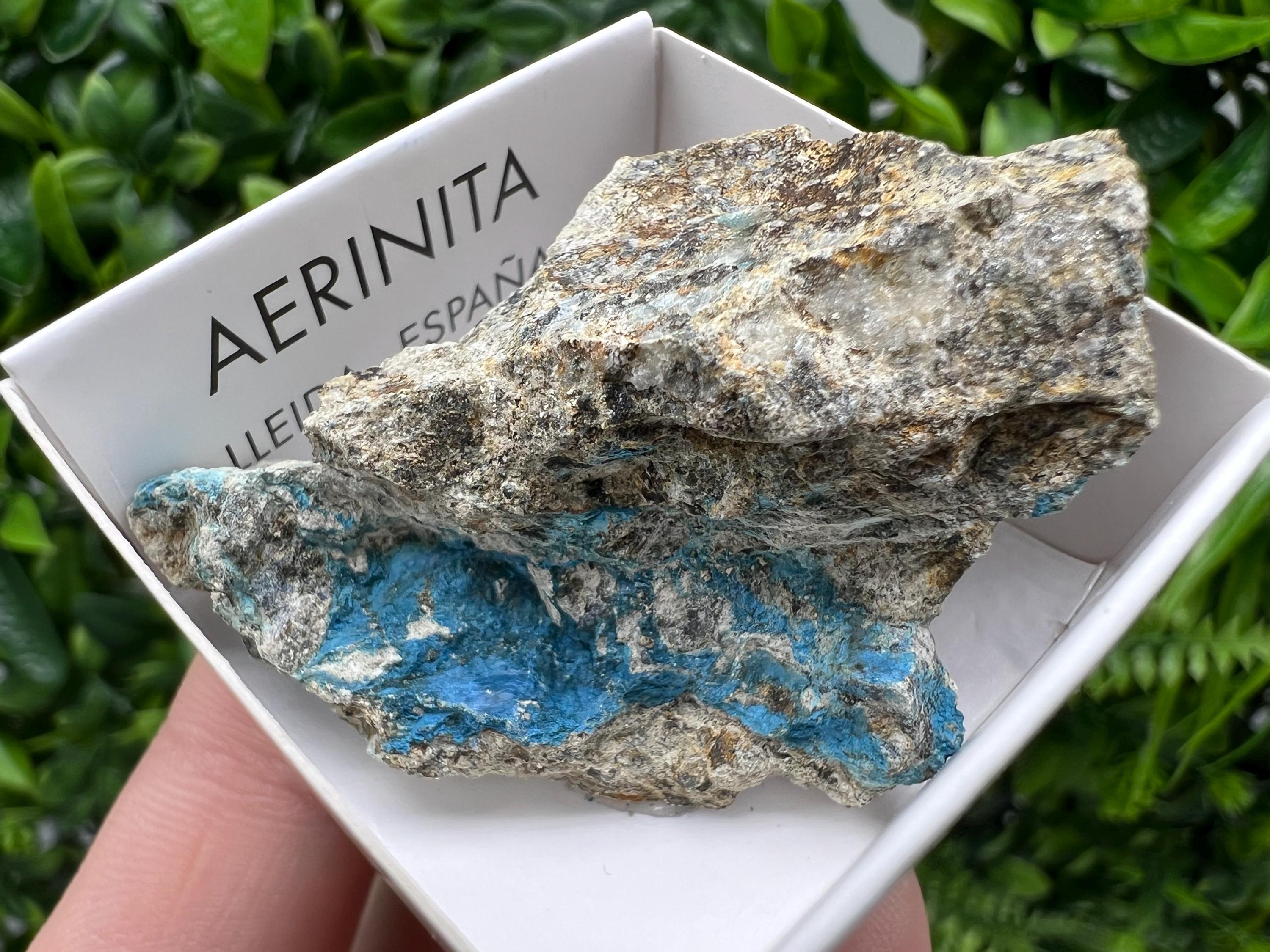 Rare Raw Aerinite Mineral Specimen: Collection Crystal from Lleida, Spain (5/3 cm