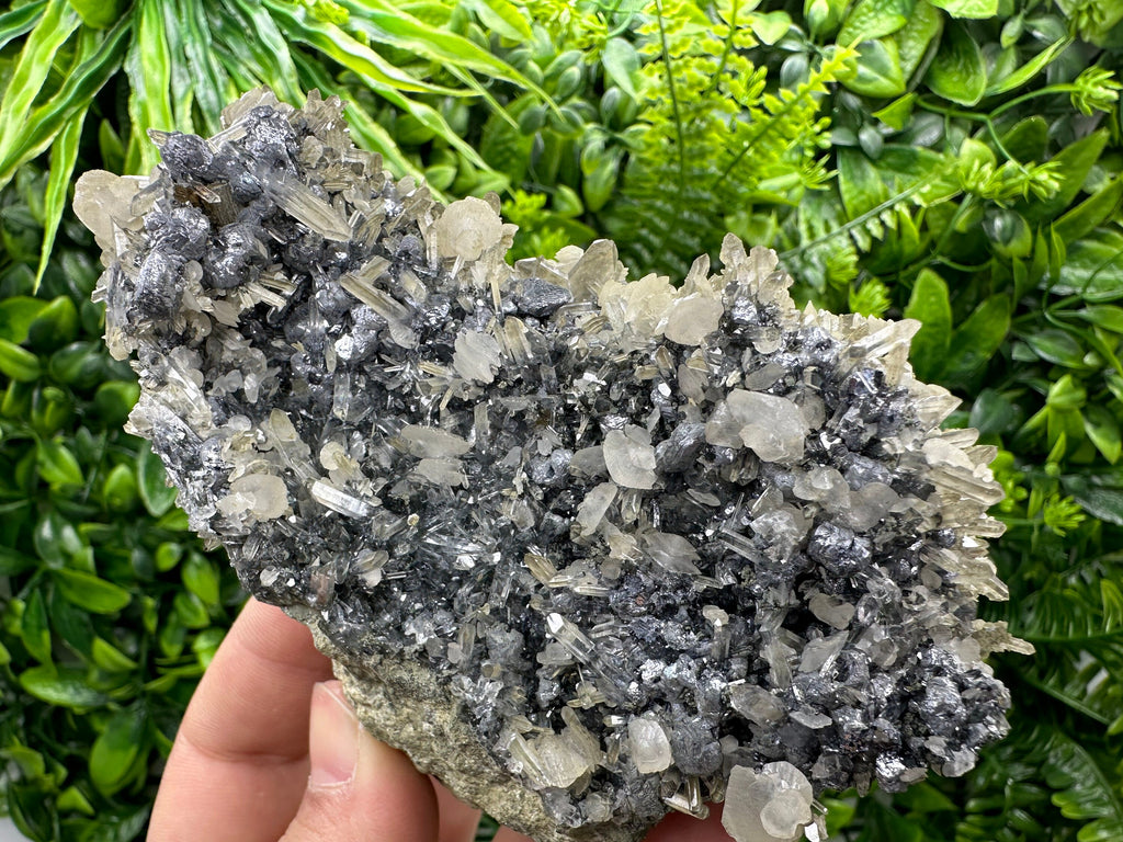 Calcite Quartz on Galena Mineral Specimen: Borieva Mine, Bulgaria