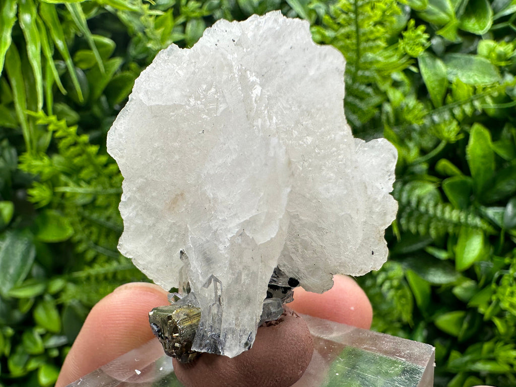 Mangano Calcite Wing on Quartz with Pyrite, Madan Bulgaria Mineral Specimen