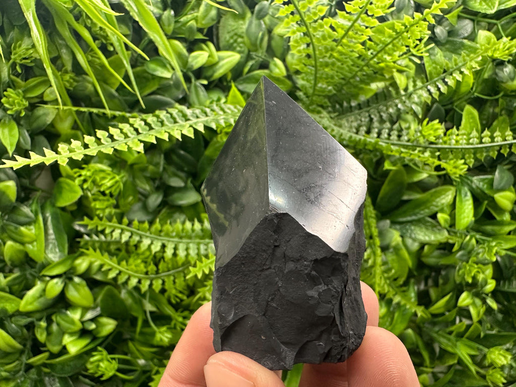 Polished Shungite Crystal: EMF Protection Stone (5cm)