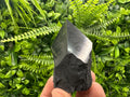 Polished Shungite Crystal: EMF Protection Stone (5cm)
