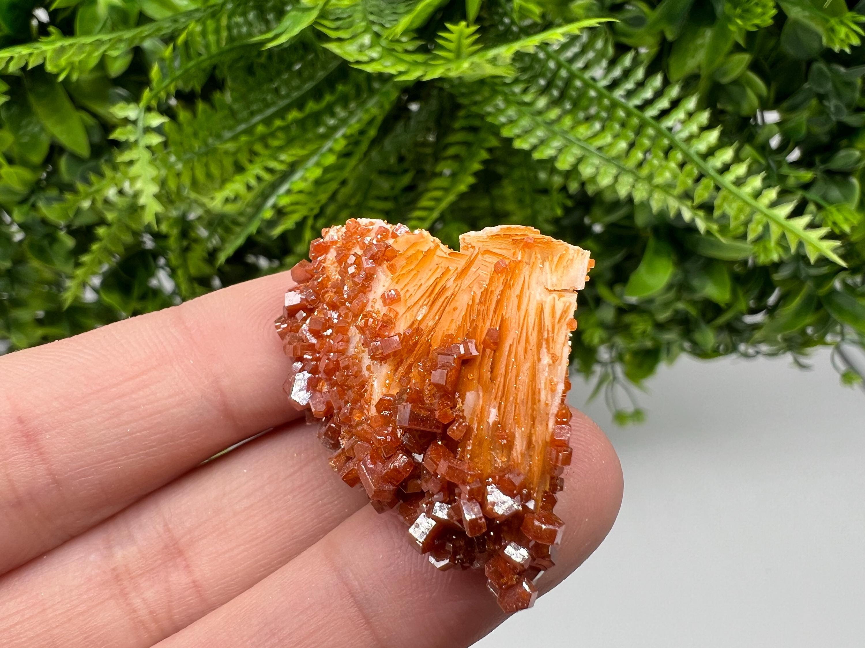 Red Vanadinite on Barite, Moroccan Crystal Mineral Specimen