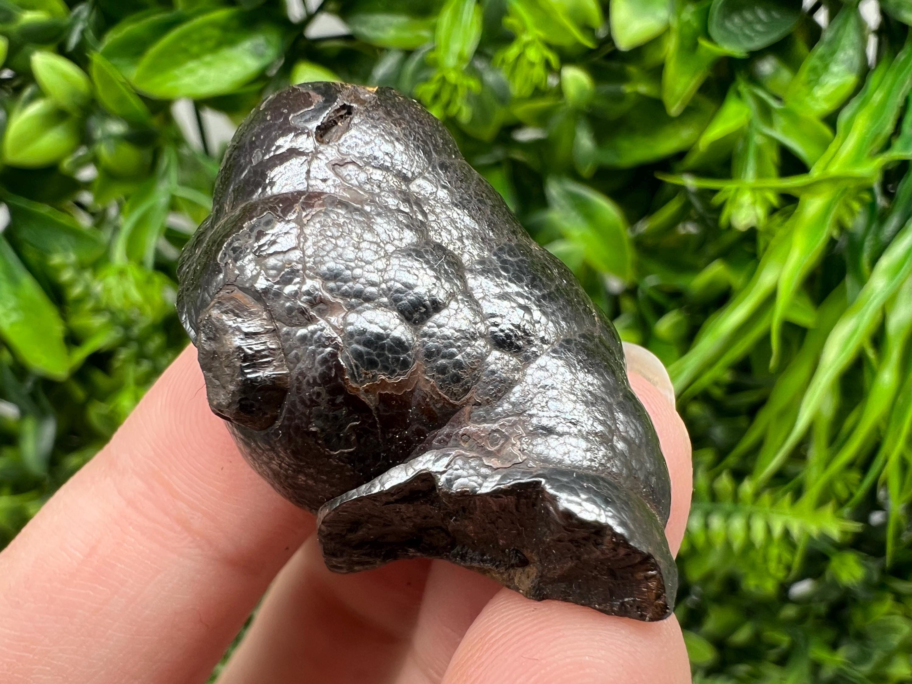 Botryoidal Black Hematite Specimen: Moroccan Crystal, Reiki Chakra Stone