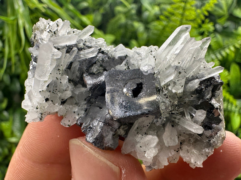 Galena on Quartz Mineral Specimen, Bulgaria Origin