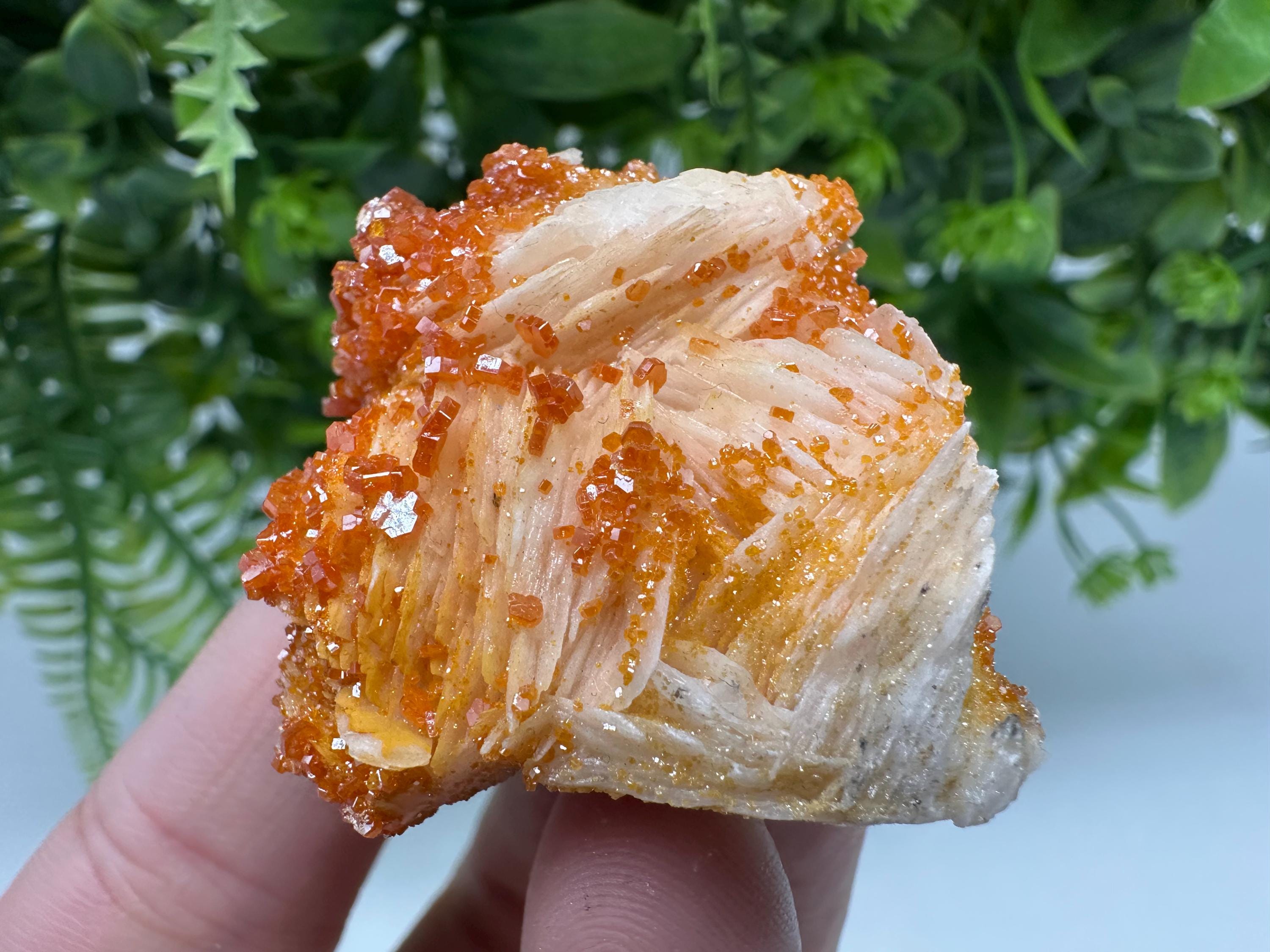 Red Vanadinite on Barite Cluster, Moroccan Mineral Specimen (4/4/2 cm)