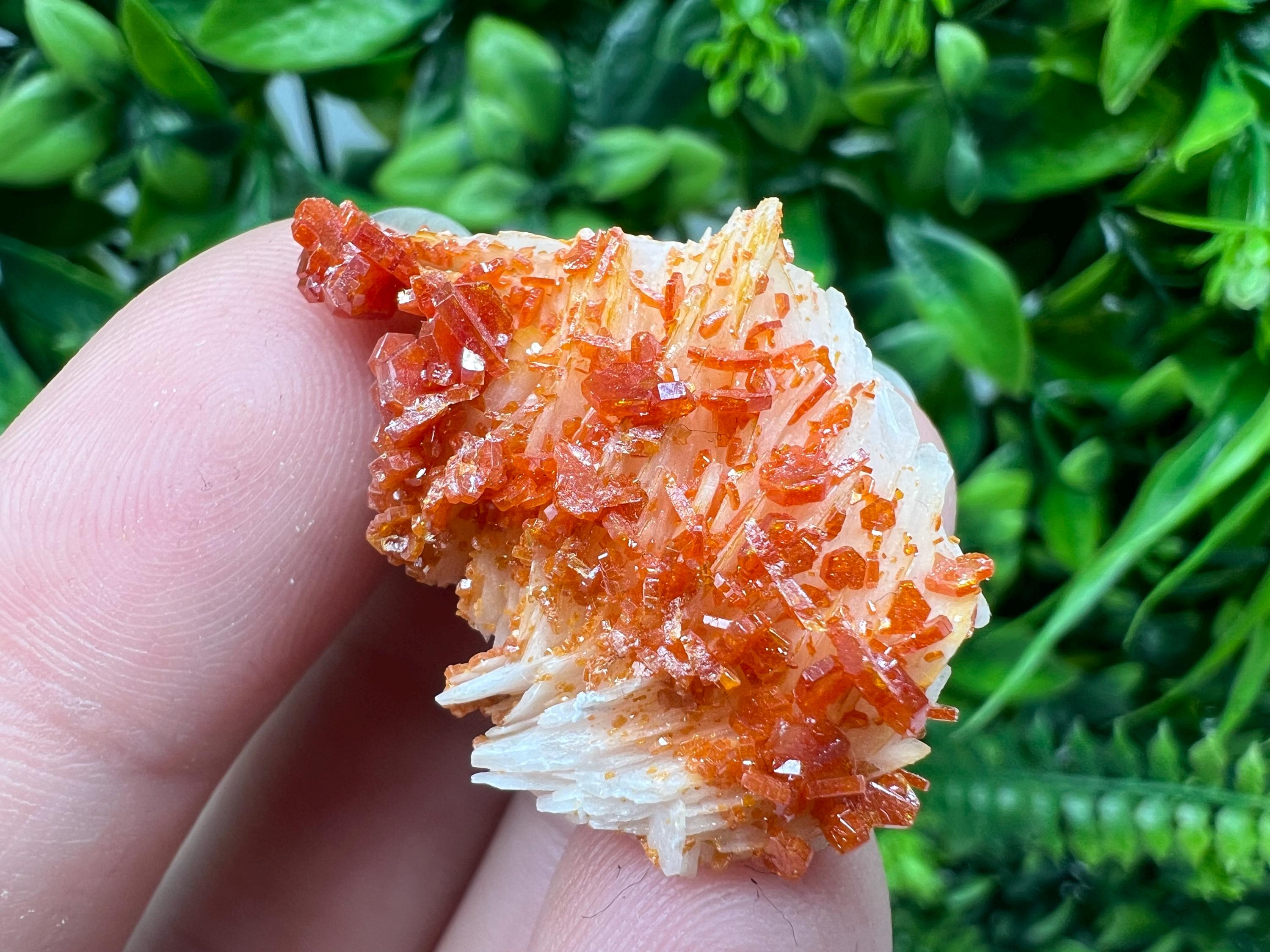 Red Vanadinite on Barite from Marocco,crystal minerals Speciment cluster Vanadinite crystal Vanadinite Geology Vanadinite cluster minerals