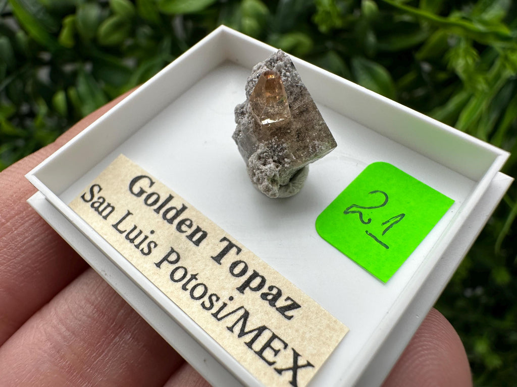 Golden Topaz Crystal, Mineral Specimen from Mexico