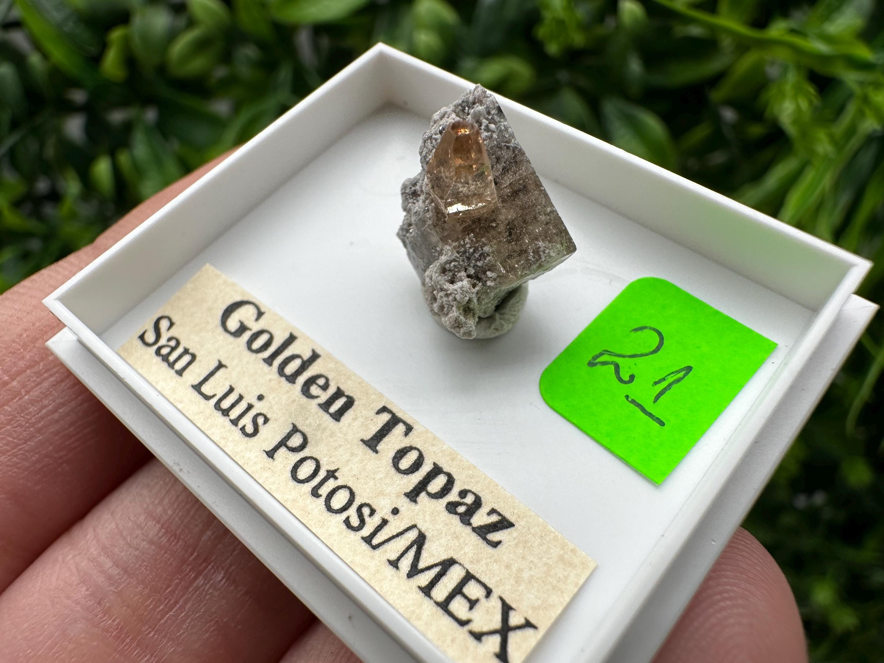 Golden Topaz Crystal, Mineral Specimen from Mexico