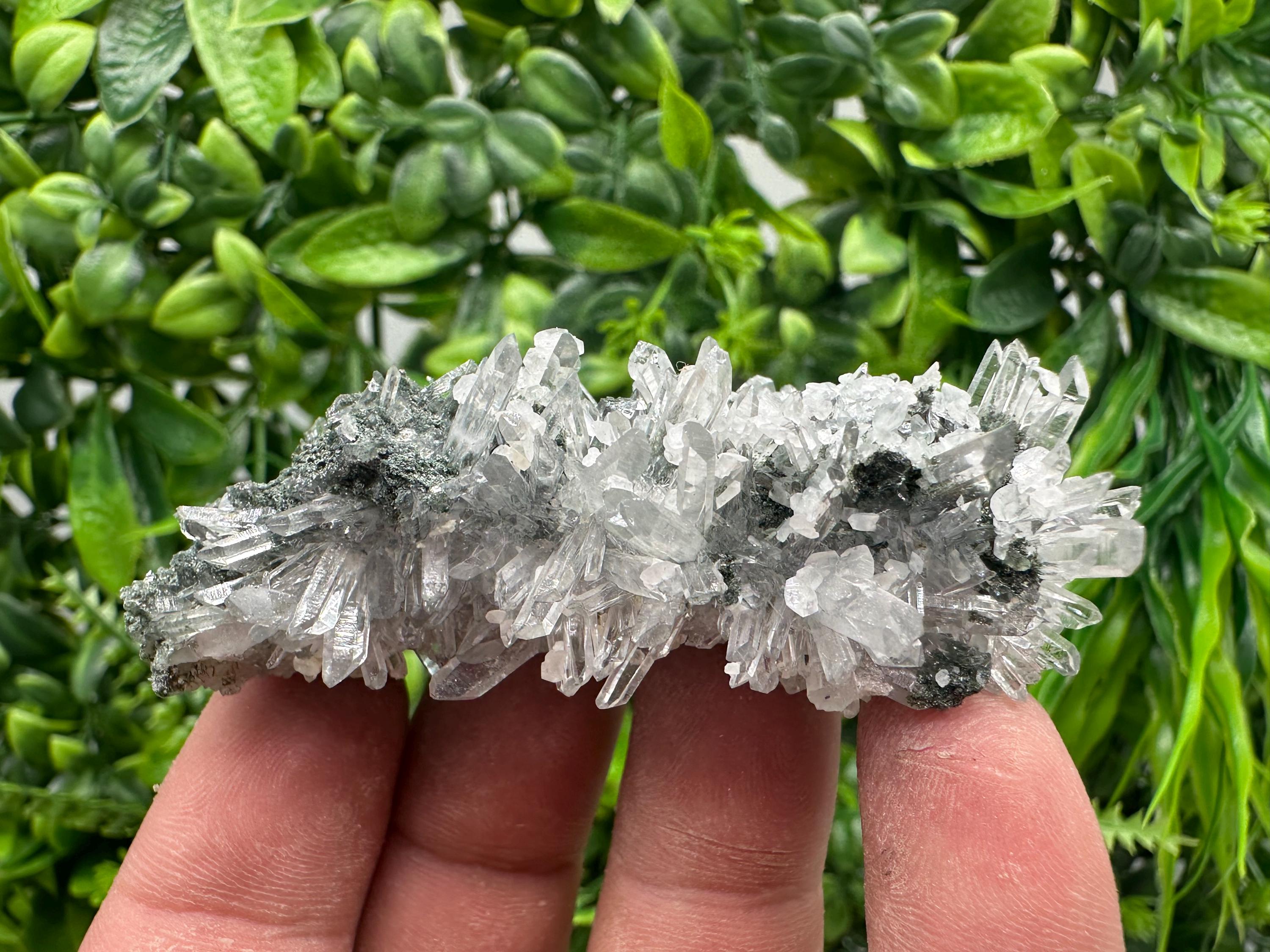 Transparent Quartz on Chlorite Matrix, Borieva Mine Mineral Specimen