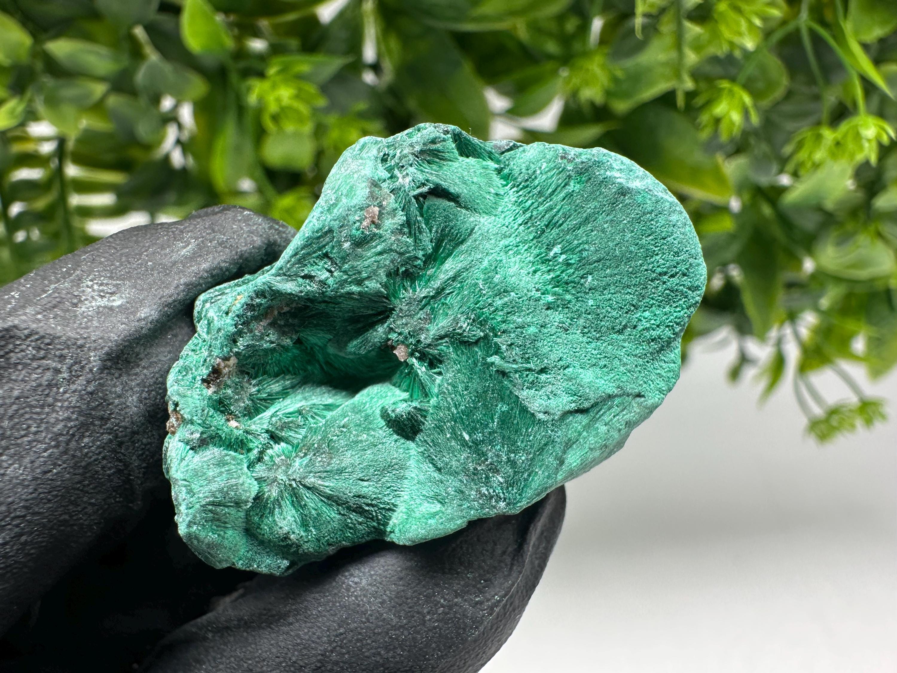 Malachite Crystal from Congo,Minerals,Crystals from Congo,Green Malachite, Malachite,Natural Malachite,Malachite Stone,Chakra, Specimens