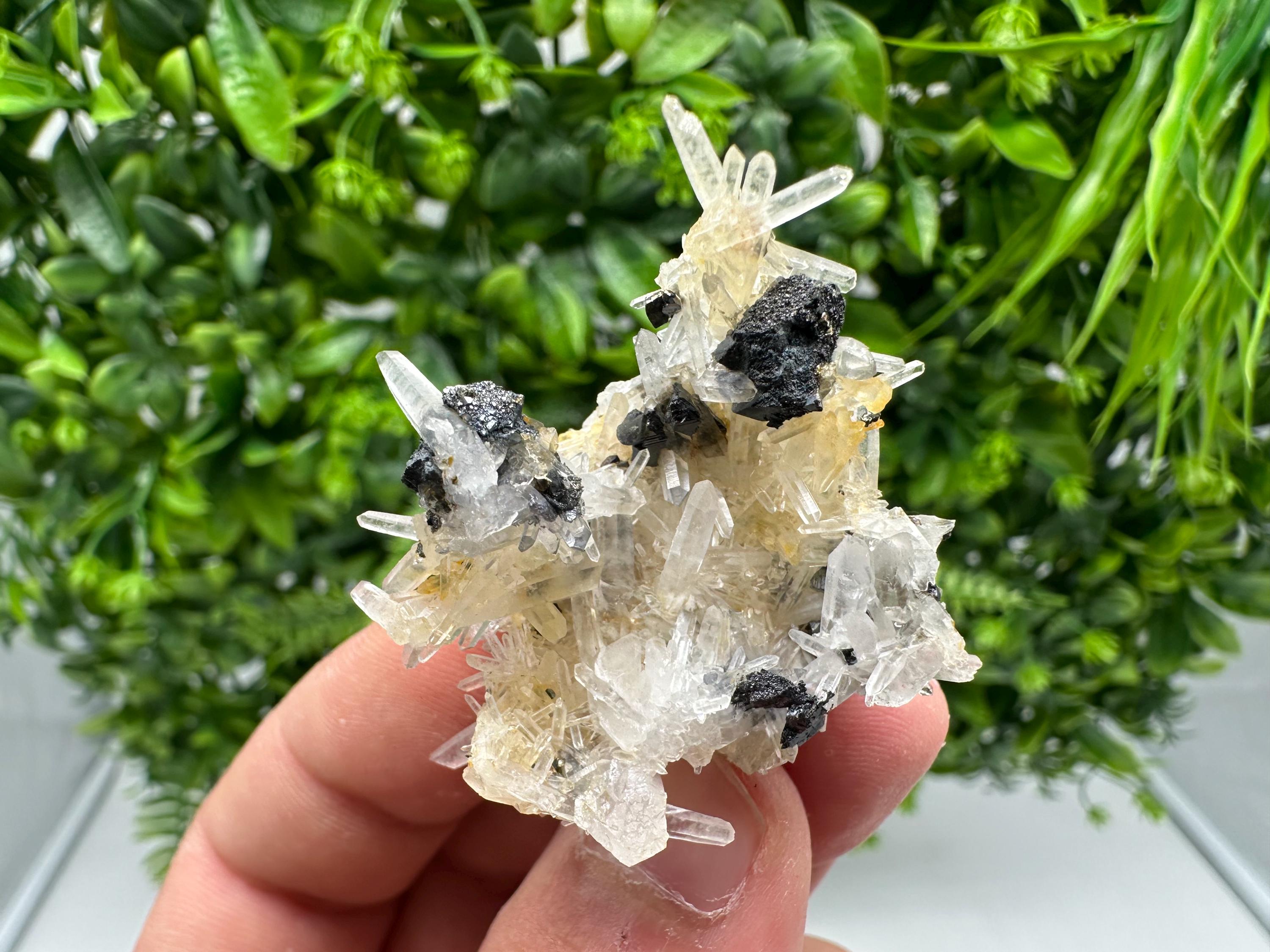 Wonderful Sphalerite Chalcopyrite on  Quartz whit Hematite from 9 th September mine,Bulgaria,natural,collection mineral specimen,gift