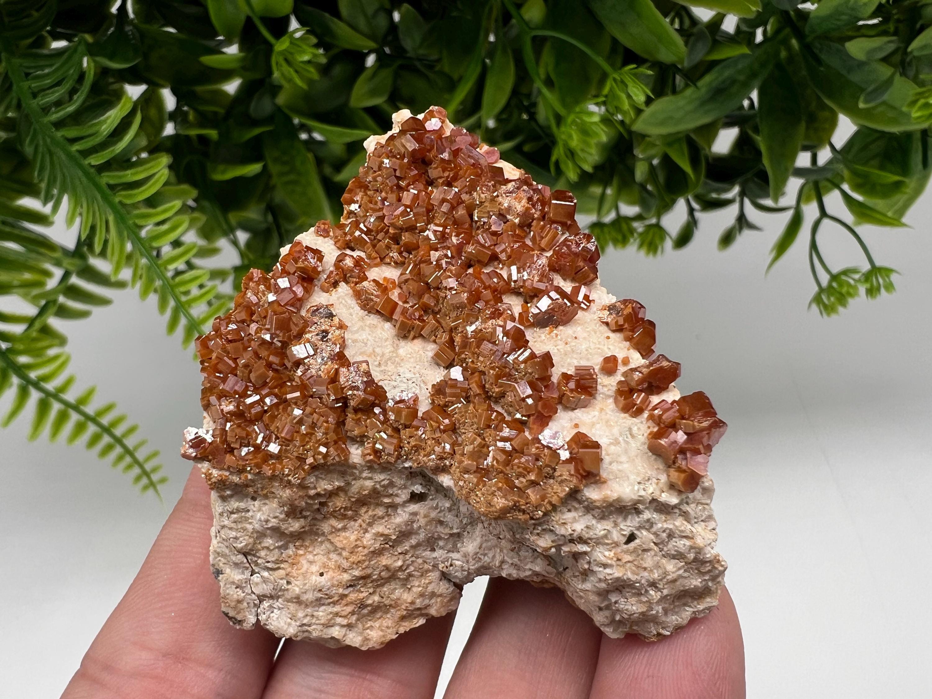 Red Vanadinite Crystal Cluster on Barite Matrix, Morocco