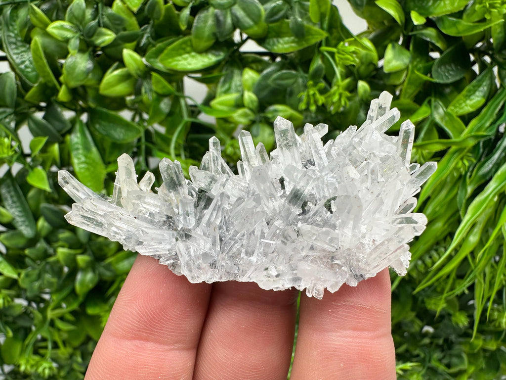 Chlorite Quartz Crystal Cluster - Borieva Mine, Bulgaria