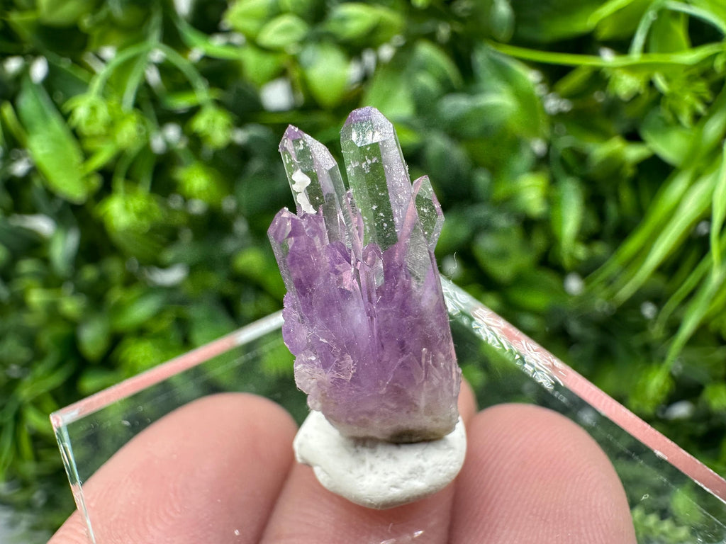 Phantom Amethyst Crystal with Cerussite, Bulgarian Mineral Specimen