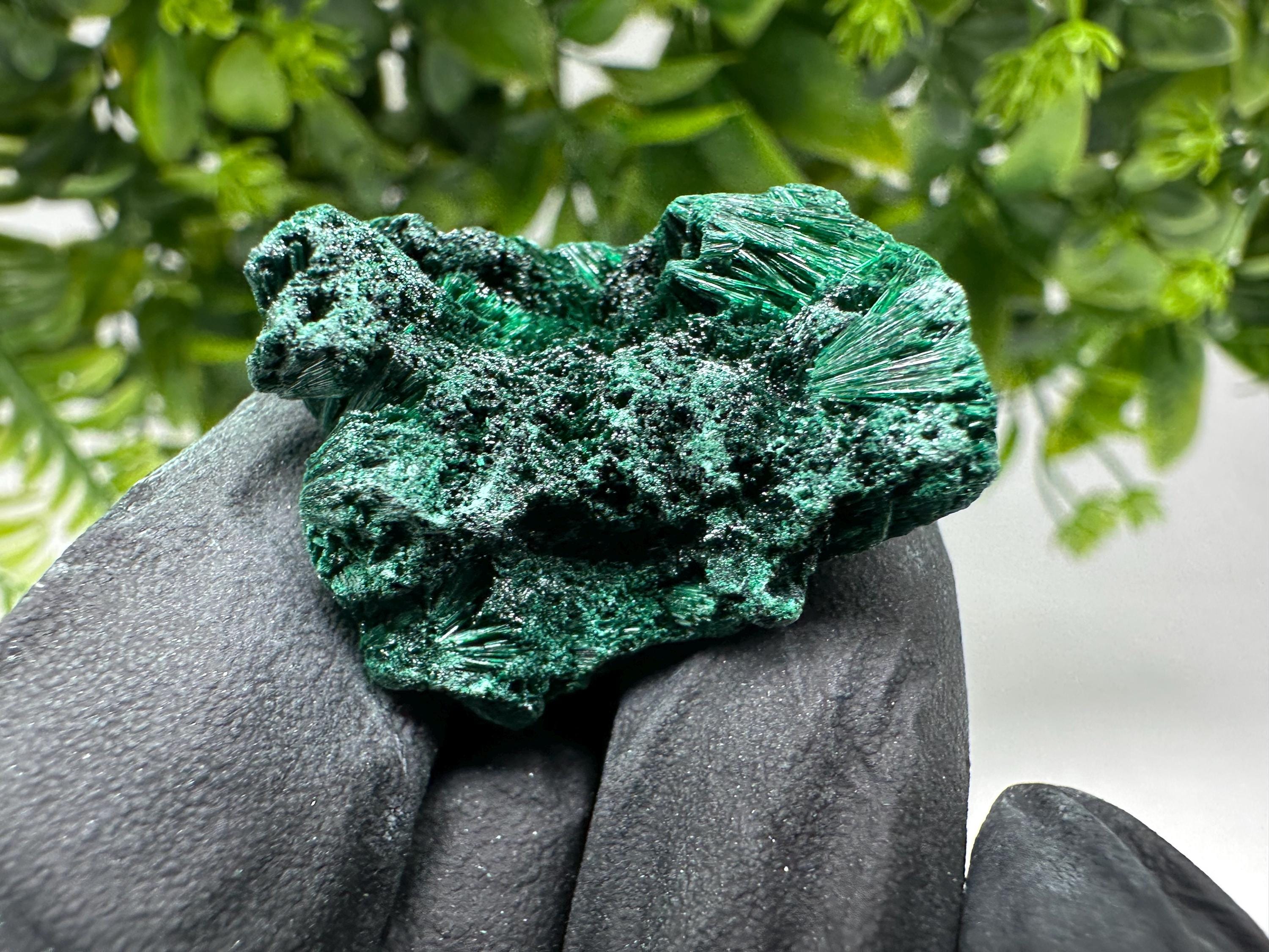 Malachite Crystal from Congo,Minerals,Crystals from Congo,Green Malachite, Malachite,Natural Malachite,Malachite Stone,Chakra, Specimens