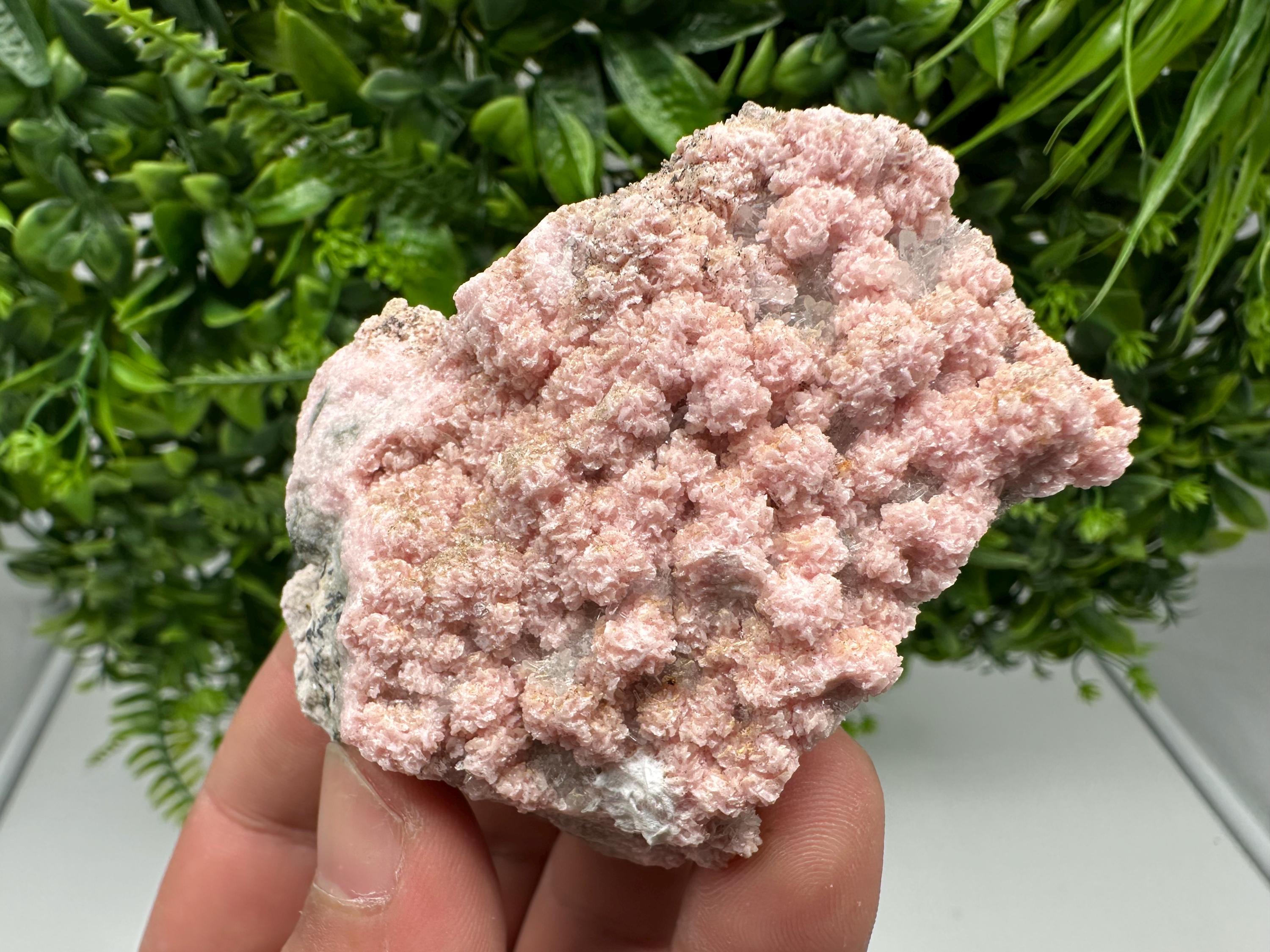 Pink Rhodochrosite Crystal, Starnica Mine, Bulgaria, Mineral Decor