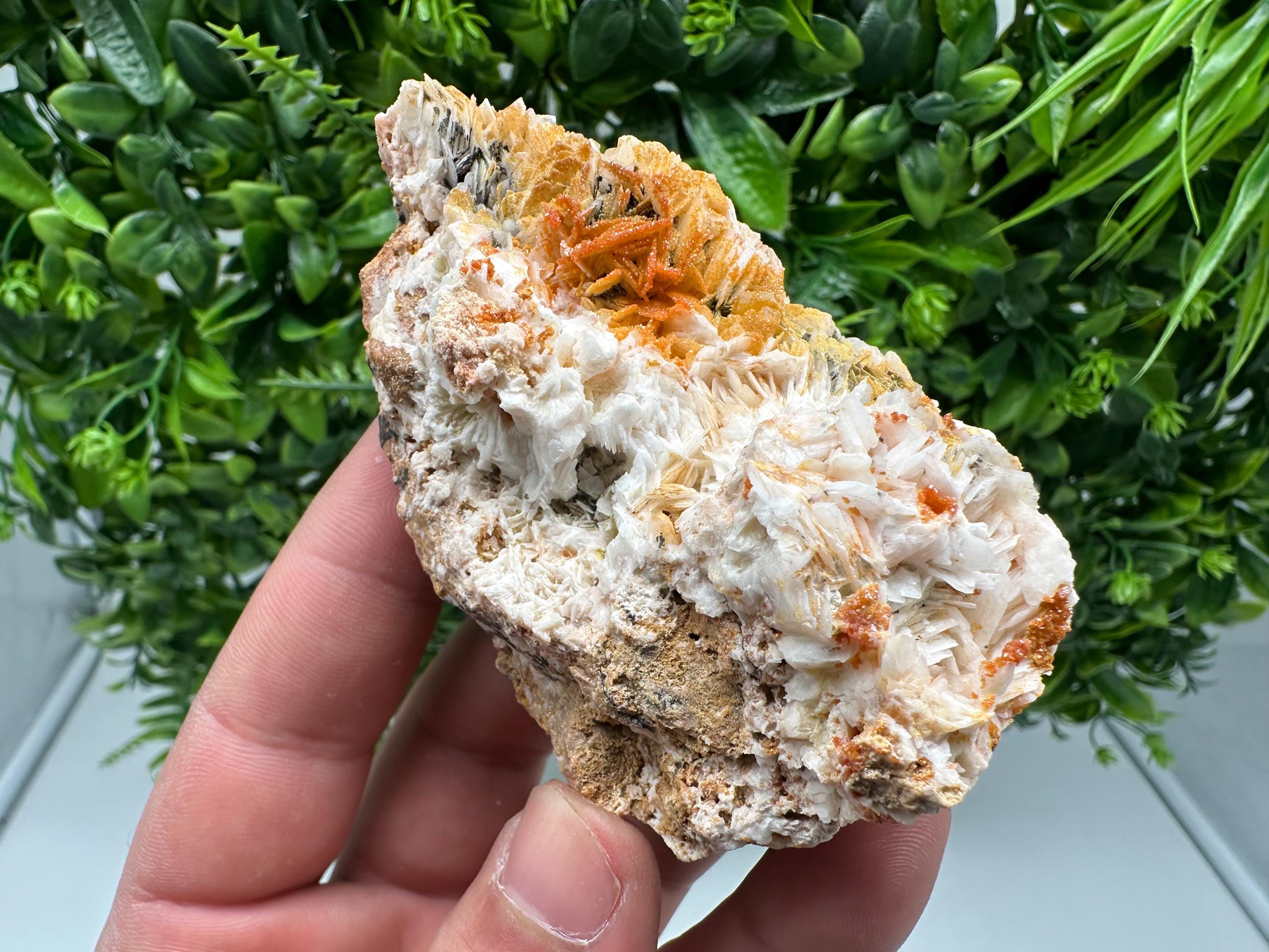 Red Vanadinite Crystal Cluster on Barite, Morocco Mineral Specimen