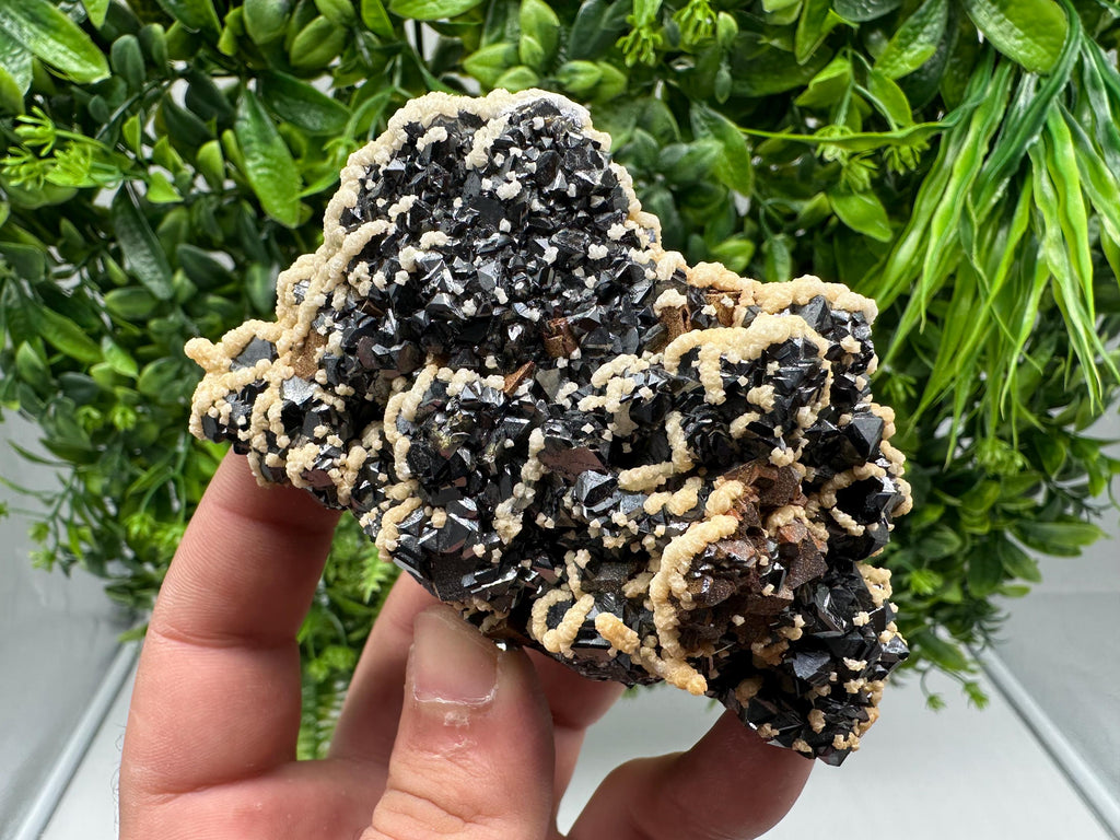 Lovely Calcite whit chlorite on Sphalerite feom Borieva mine Madan Bulgaria natural minerals home decor souvenir gift collection specimen