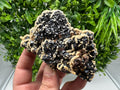 Lovely Calcite whit chlorite on Sphalerite feom Borieva mine Madan Bulgaria natural minerals home decor souvenir gift collection specimen