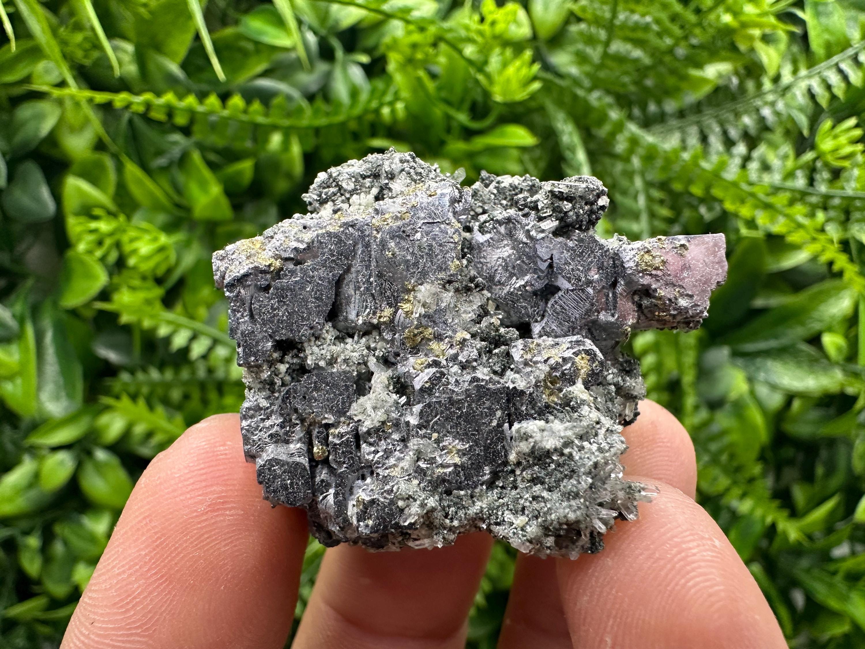Pyrite on Galena with Quartz, Borieva Mine Mineral Specimen