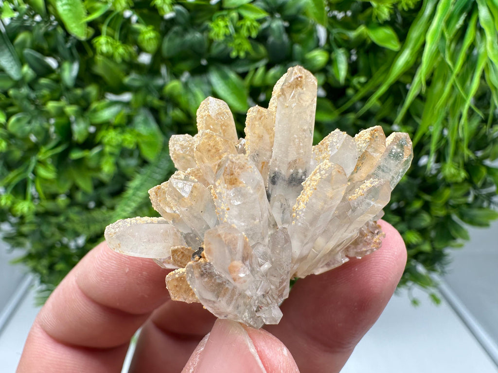 Transparent Quartz whit Siderite 9th September mine Bulgaria natural minerals souvenir crystal stone gift minerals collection rock