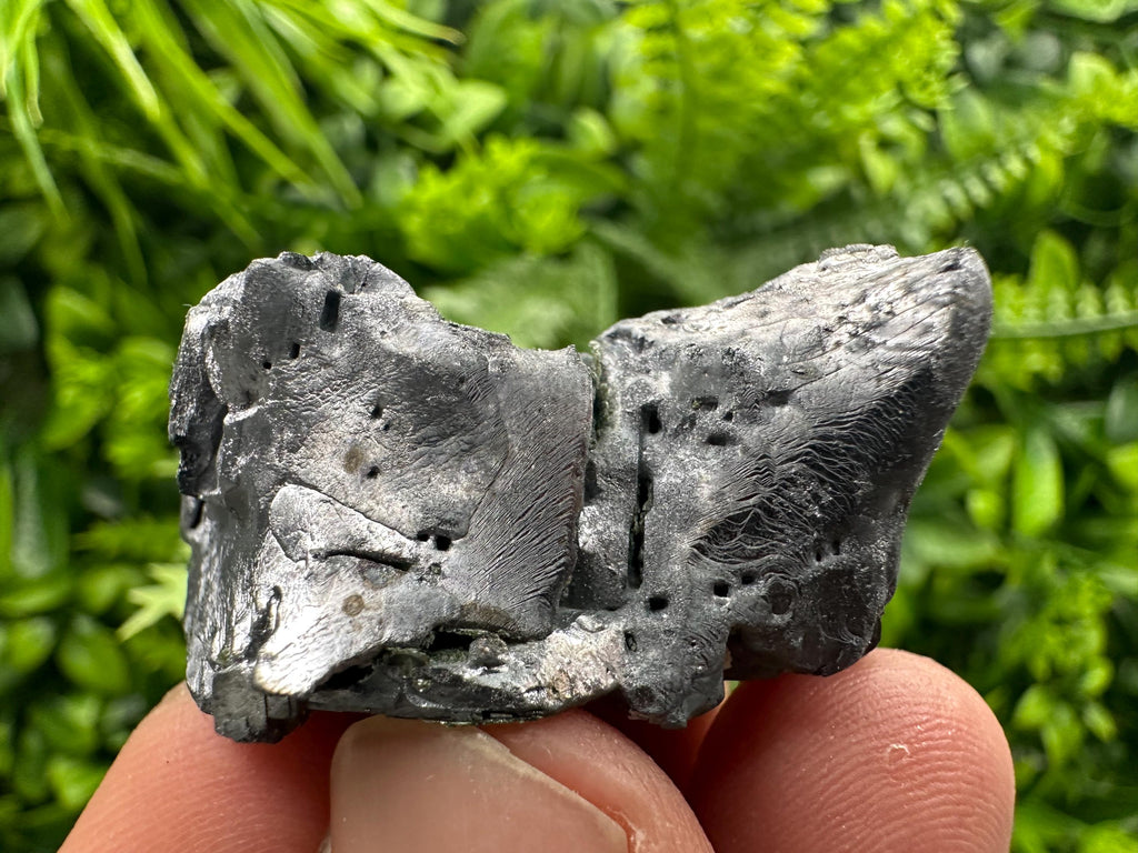 Galena with Sphalerite Mineral Specimen, Borieva Mine, Bulgaria
